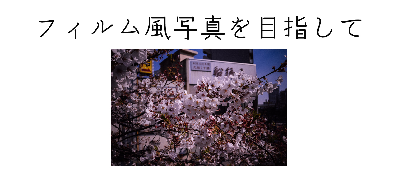 【１分で見れる】富士のカメラでフィルム風写真の現像を目指してみた