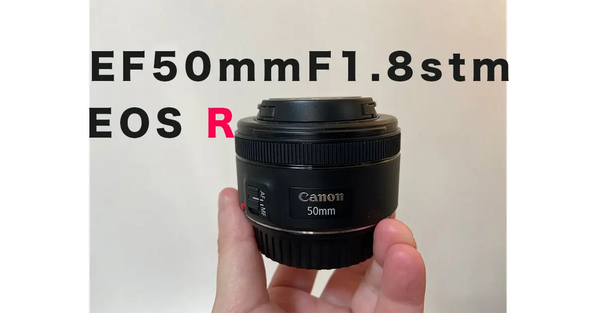 EF50mmF1.8stmレビュー！EOSRでのポートレート作例 | ゴーゴー 