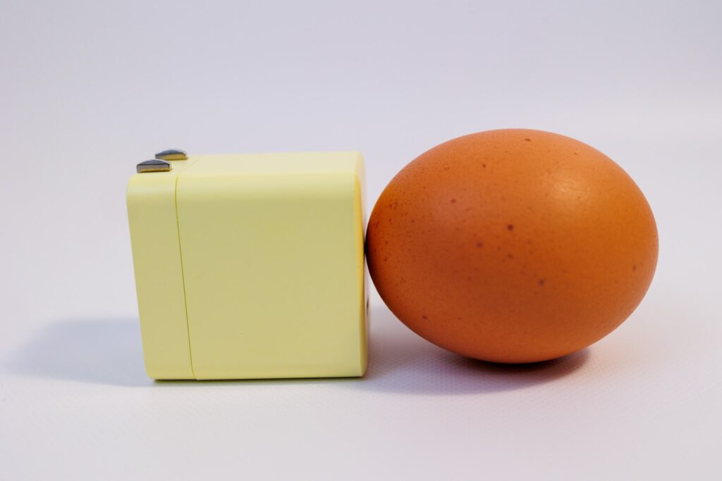 Permier ACアダプタ PD45Wと卵との比較