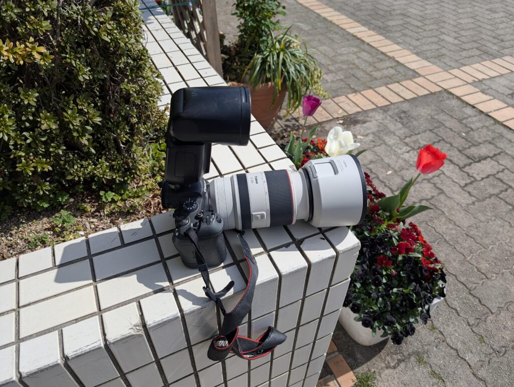 EF70-200mm F2.8 L IS II USMとの比較