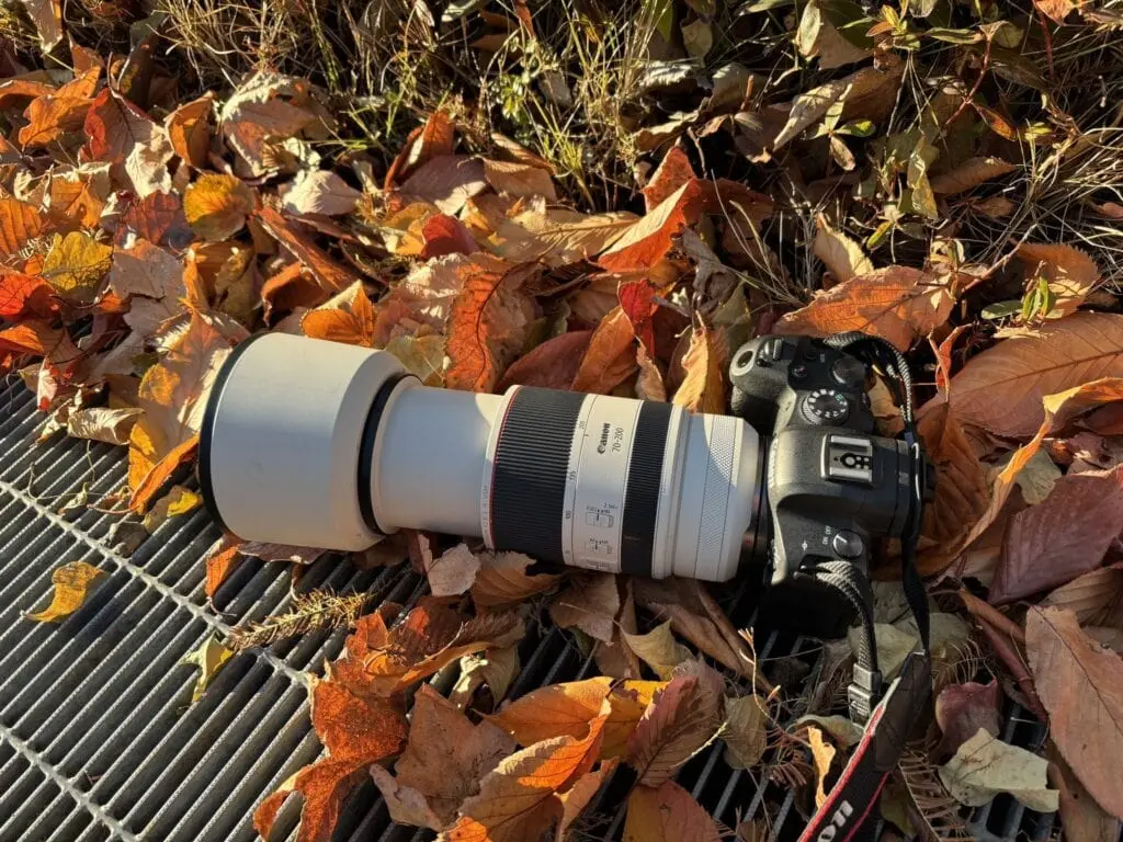 実写レビュー】Canon RF70-200mm F2.8 L IS USMで撮る、心揺さぶる