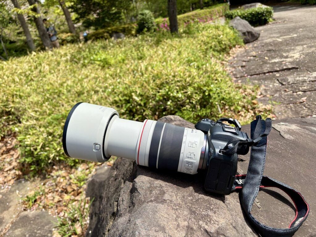 Canon EOS R6